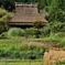 秋ですね・・。2