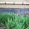 水曜日の雨…