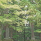 神社