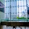 ヨコハマ駅
