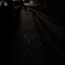 夜木に帰る