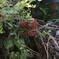 _G9P9226_DxO