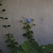 _G9P9221_DxO