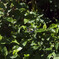 _G9P9215_DxO