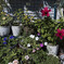 _G9P9206_DxO