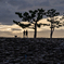 RINKU Sunset_20251023