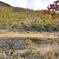 覚満淵の紅葉③