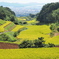 棚田の秋景色