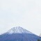2025年初冠雪日　朝の富士山（富士宮）