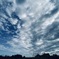 今日の空