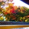古刹の紅葉