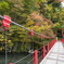 法体の滝　吊り橋