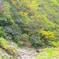 2025秋-古寺渓谷神通峡遊歩道⑦