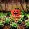 Halloween 2025