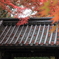 滋賀永源寺の秋