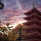 光泉寺 夕景