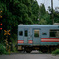 Red Signal, Blue Train