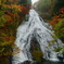 日光湯滝