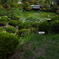 相楽園にて３（日本庭園）