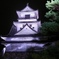 高知城ライトアップ