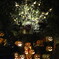 2025.10.26 横浜イングリッシュガーデン　ハロウィーンナイト