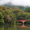 色づき始めの碓氷湖