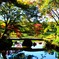 秋の庭園③