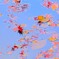 アートな気分（紅葉編）