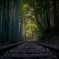 disused railway line