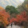 紅葉ひとりじめ～