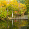 紅葉に浮かぶ浮き橋