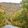 紅葉の路