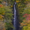 紅葉の不動の滝