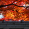 京都紅葉の記憶1：熱した鋼の如く