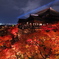 京都紅葉の記憶５：紅葉観光のアイコン