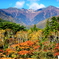 紅葉始まる木曽駒ケ岳山麓