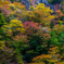 絶壁と紅葉