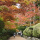 高野山紅葉・蛇腹道
