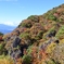 霊山の紅葉①