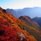 三俣山の紅葉