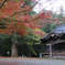 紅葉の境内