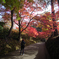 紅葉狩り_中尊寺③
