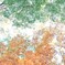 森林公園～紅葉