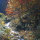 秋の沢