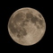 -SUPER MOON- 2025