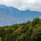 紅葉の向こうの南アルプス