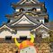ひこにゃんと天守