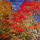 紅葉