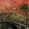木橋と紅葉