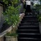 素敵な階段上ると　2025/11/08